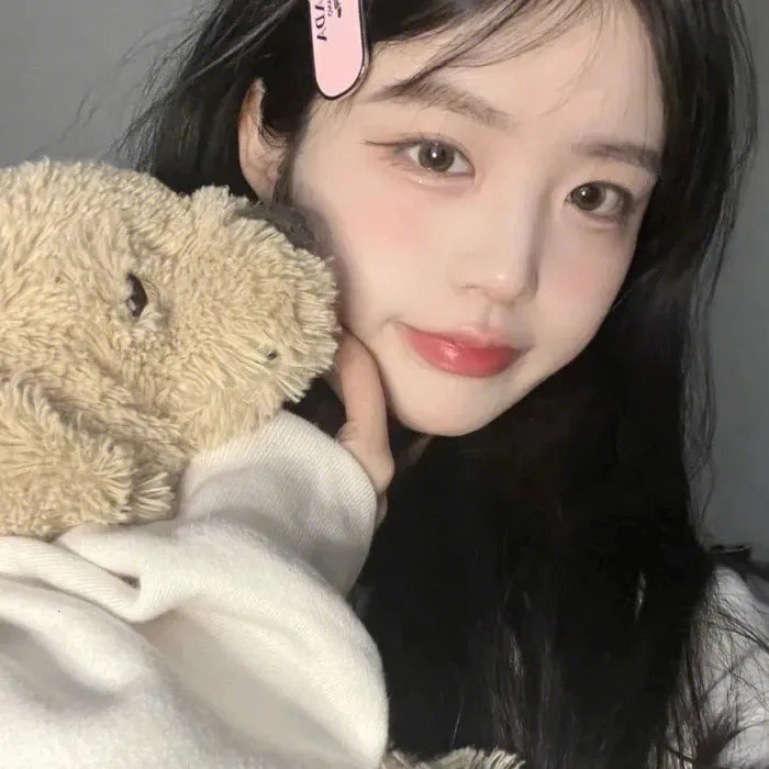 大贼与金丝猫